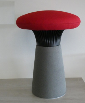 FUNGHI 40/54-rood